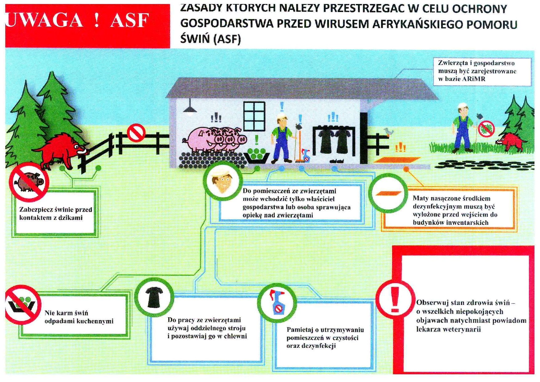 ASF 2 page 001