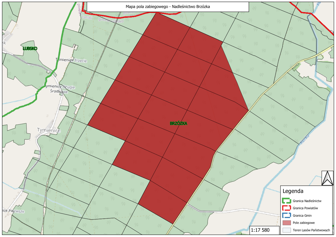 Mapa pola zabiegowego Leśnictwo Gozdnopng
