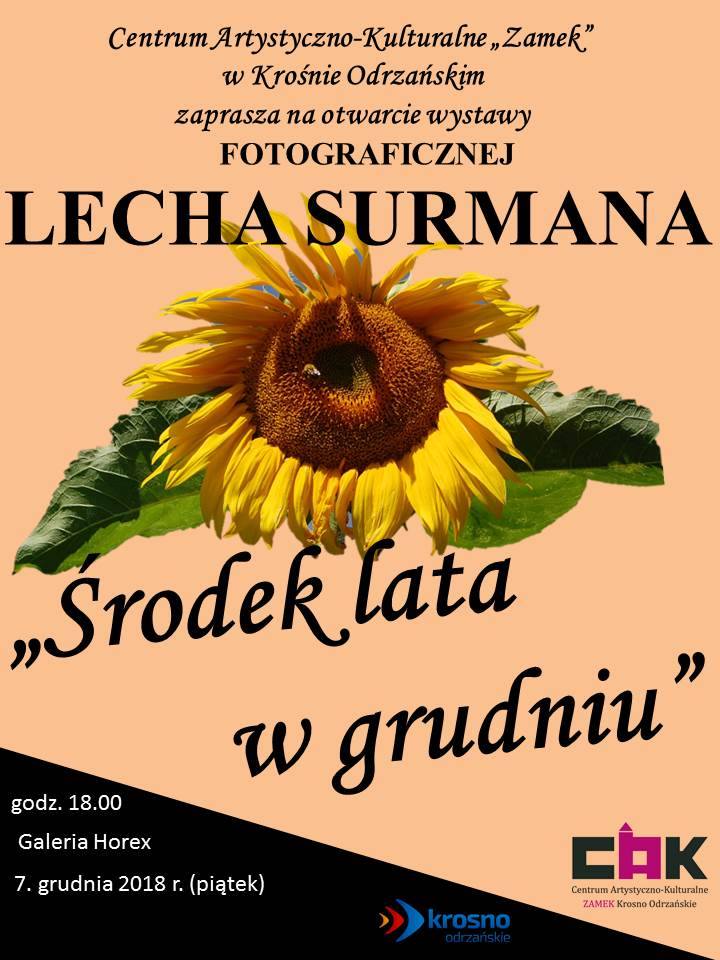 Wystawa Środek lata w grudniu