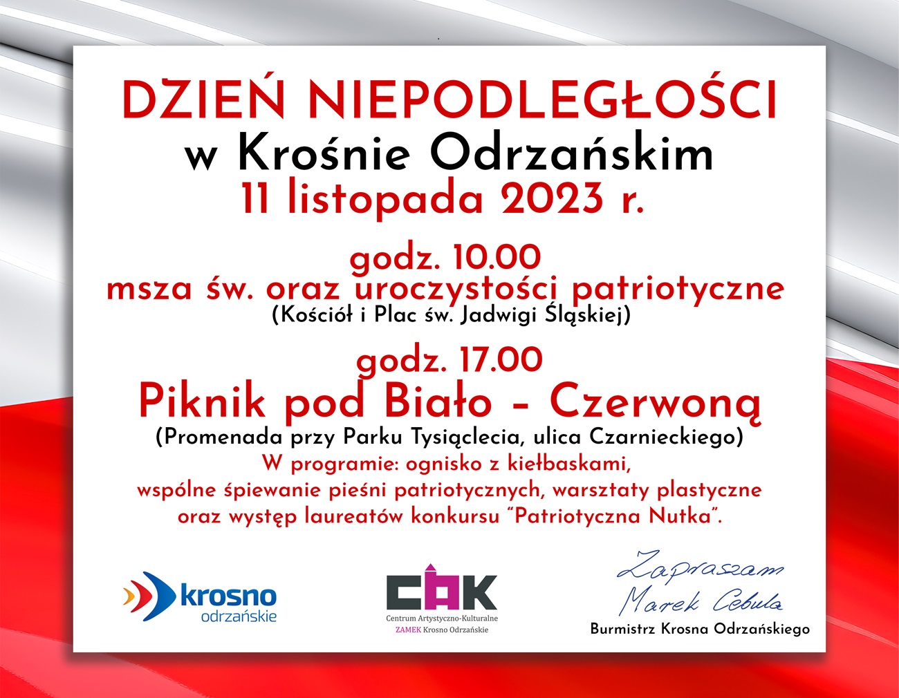 na FB piknik pod biało czerwoną copy