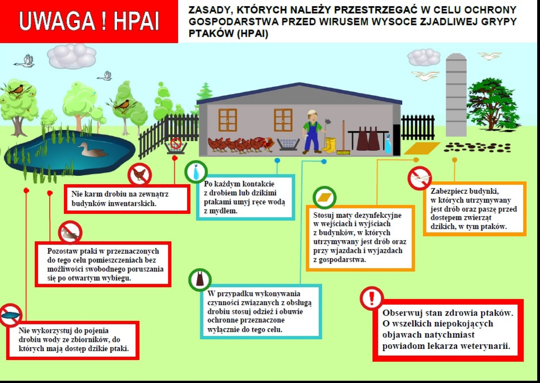 ptasia grypa