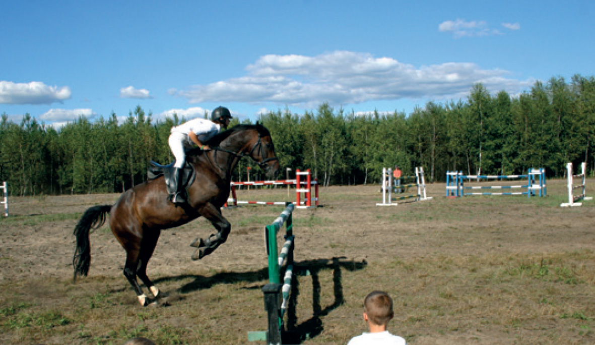 Zdjęcie 19