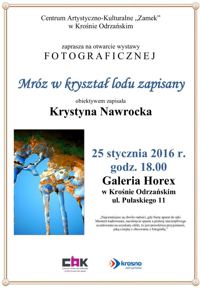 plakat nawrocka