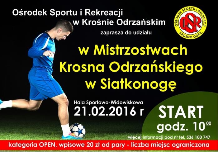 plakat siatkonoga